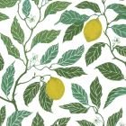 Citrus Luomupuuvilla Vihreä Laskostettu Verhokappa